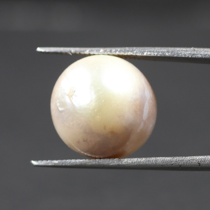 SOUTH SEA PEARL 15.52 Ct.