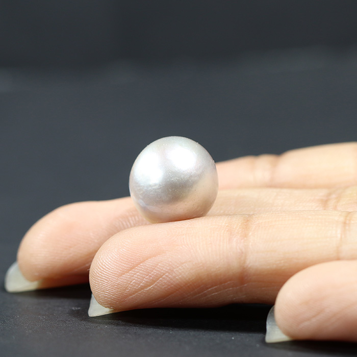 SOUTH SEA PEARL 15.52 Ct.