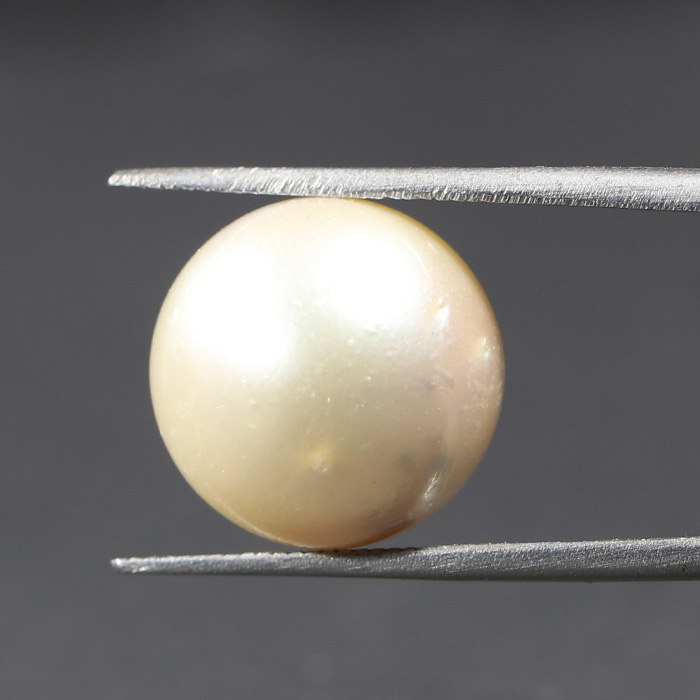 SOUTH SEA PEARL 15.83 Ct.