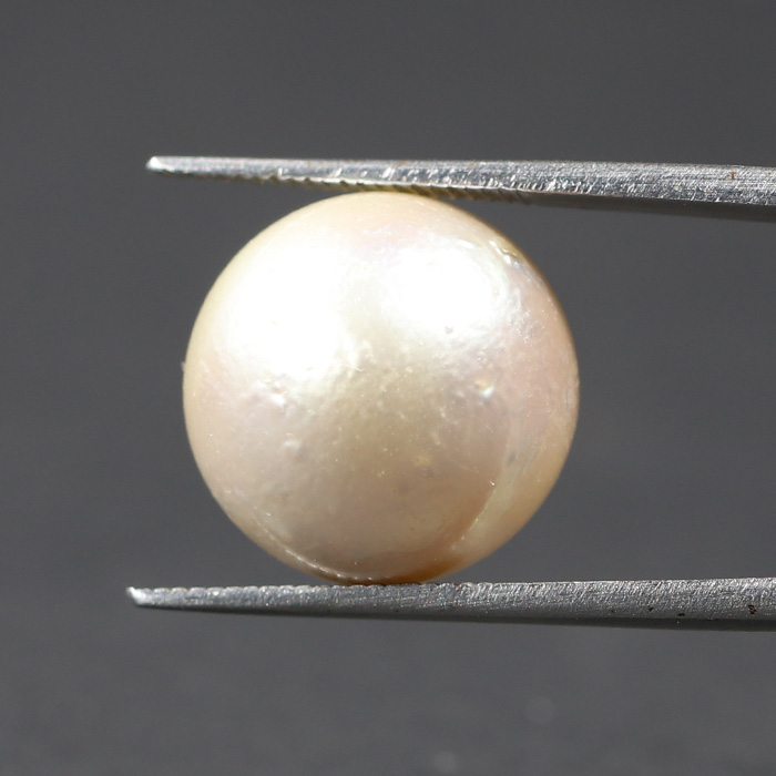 SOUTH SEA PEARL 15.83 Ct.