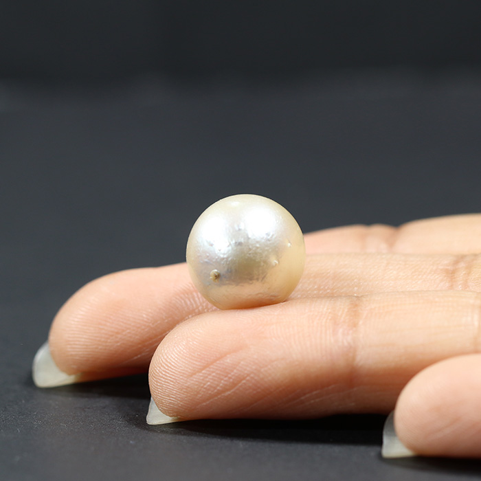 SOUTH SEA PEARL 15.83 Ct.