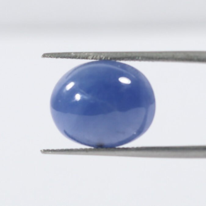 BSP13261 1 1 BLUE SAPPHIRE 9.73 Ct.