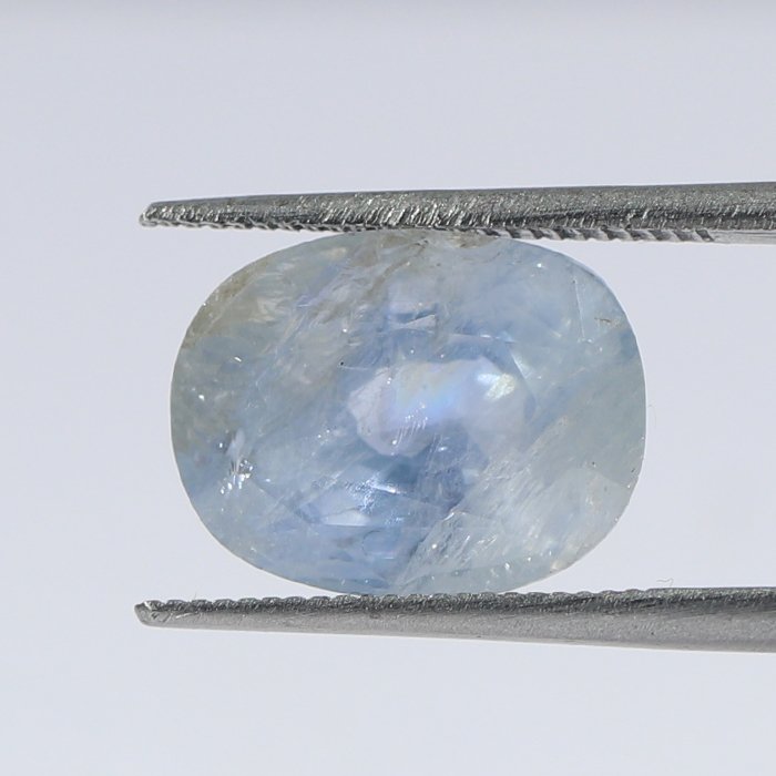 BSP13350 1 1 BLUE SAPPHIRE 7.66 Ct.