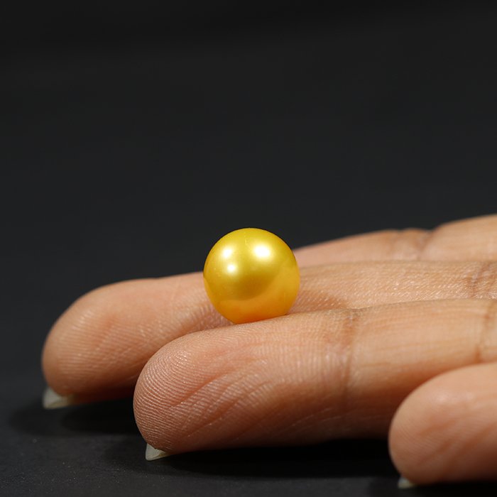 DSP1799 3 1 SOUTH SEA PEARL 6.5 Ct.
