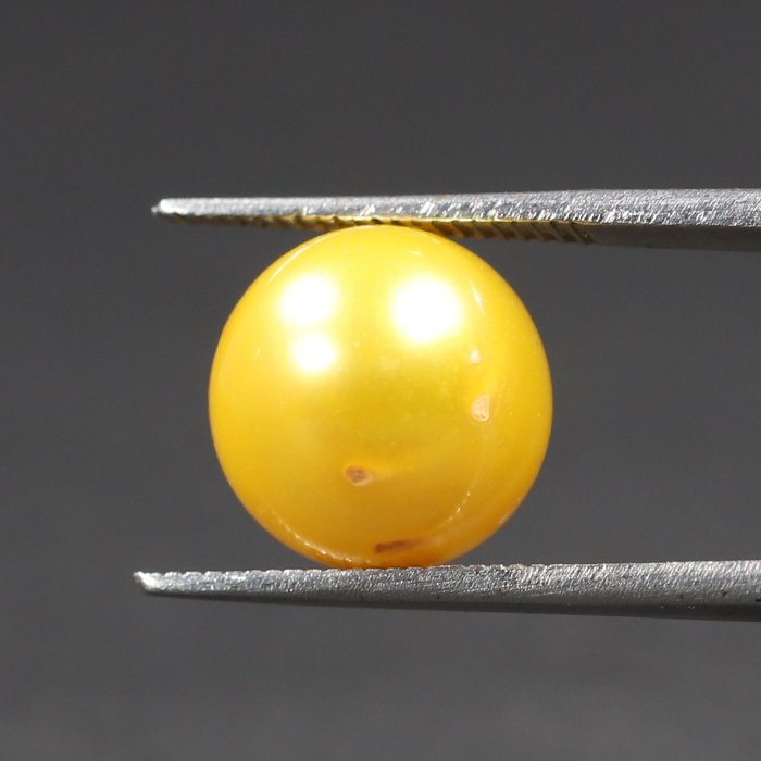 DSP1805 2 1 SOUTH SEA PEARL 7.37 Ct.