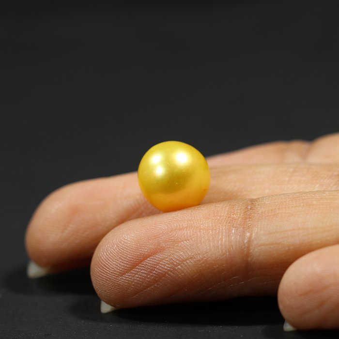 DSP1816 3 1 SOUTH SEA PEARL 6.49 Ct.