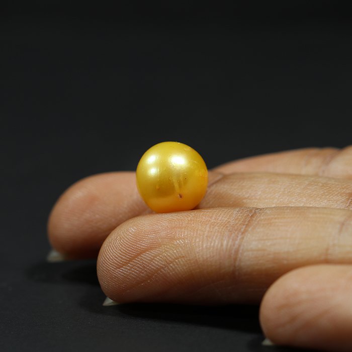 DSP1843 3 1 SOUTH SEA PEARL 6.68 Ct.