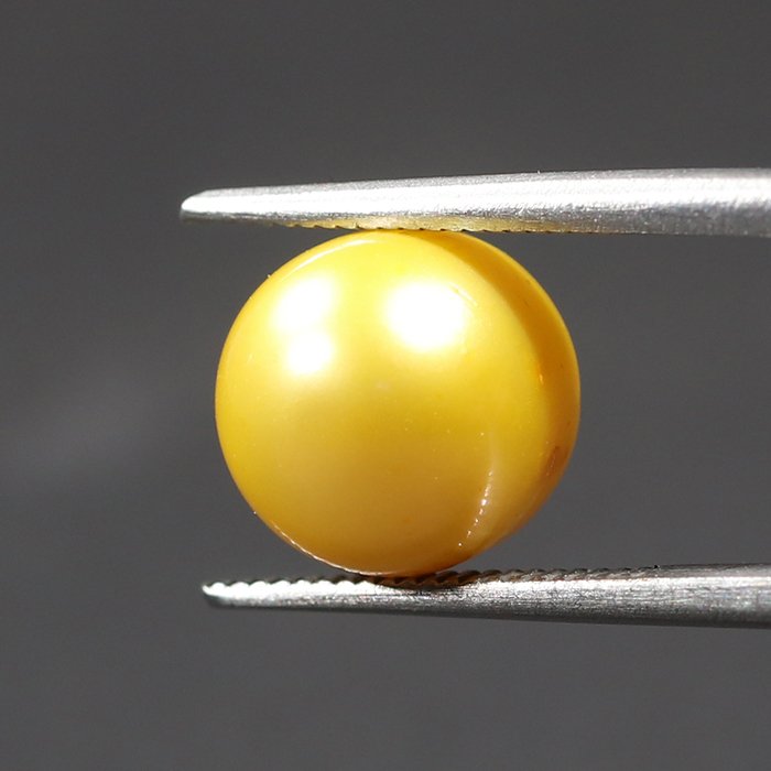 DSP1846 2 1 SOUTH SEA PEARL 6.72 Ct.