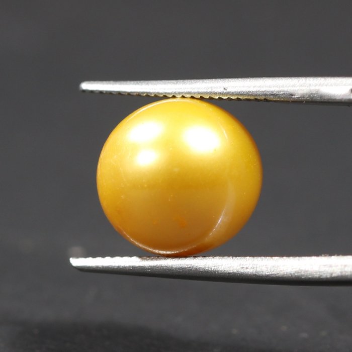 DSP1857 1 1 SOUTH SEA PEARL 7.22 Ct.