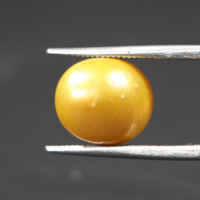 DSP1858 1 1 SOUTH SEA PEARL 7.53 Ct.
