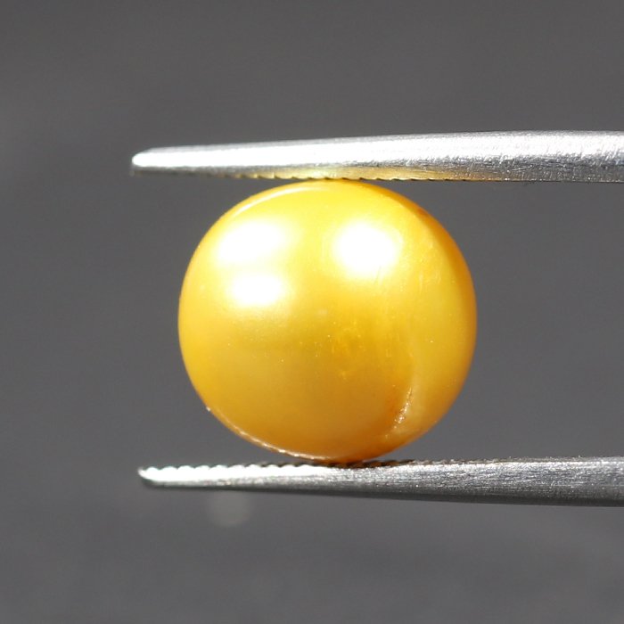 DSP1863 2 1 SOUTH SEA PEARL 6.6 Ct.