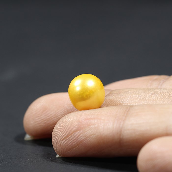 DSP1863 3 1 SOUTH SEA PEARL 6.6 Ct.
