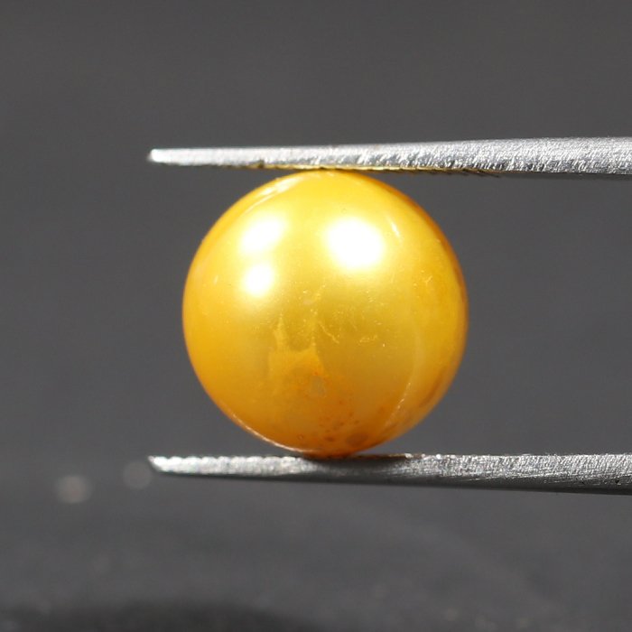 DSP1870 2 1 SOUTH SEA PEARL 7.11 Ct.