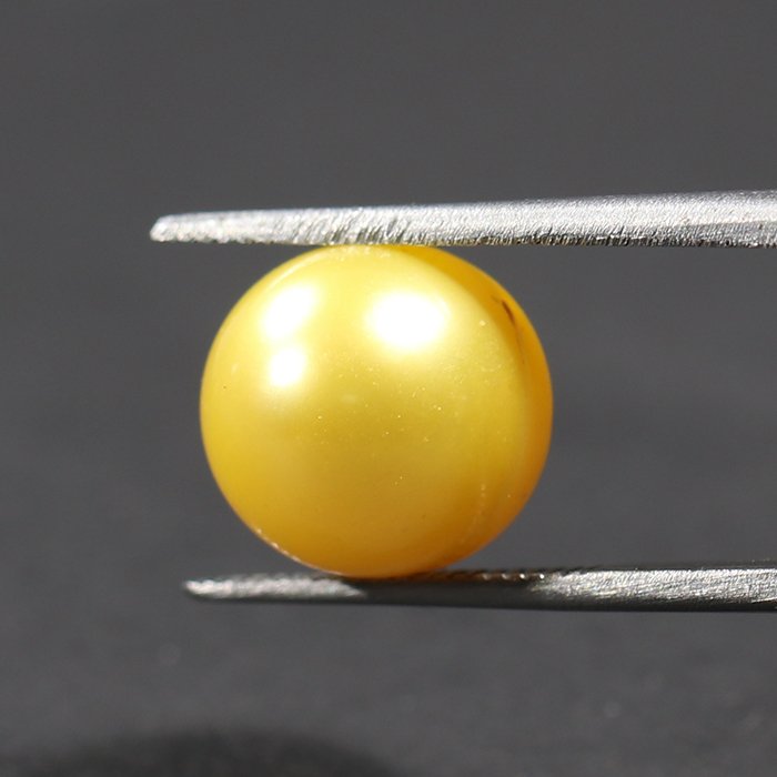 DSP1872 1 1 SOUTH SEA PEARL 7.39 Ct.