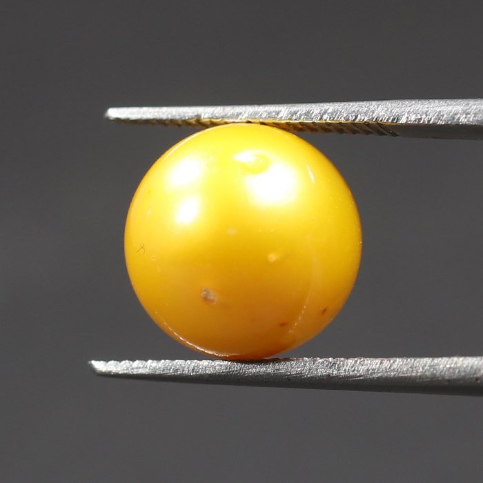 DSP1877 2 1 SOUTH SEA PEARL 6.89 Ct.