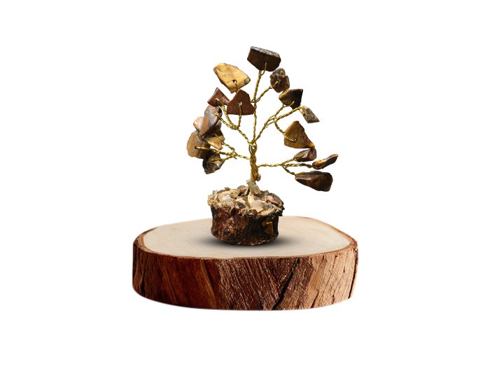 23 3 Tiger Eye Tree
