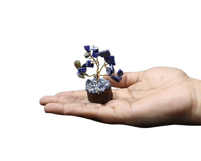 24 2 Lapis Lazuli Tree