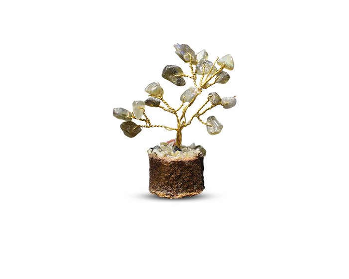 35 1 Labradorite Tree