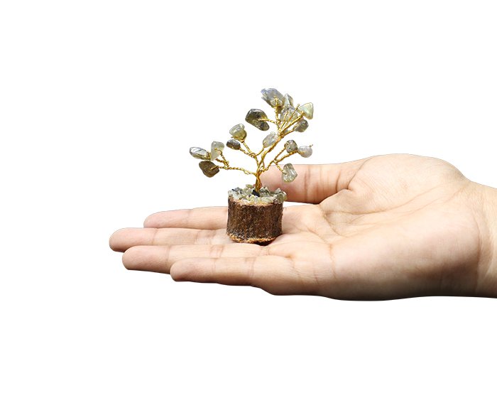 35 2 Labradorite Tree