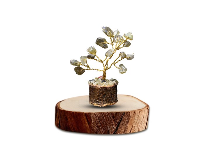 35 3 Labradorite Tree