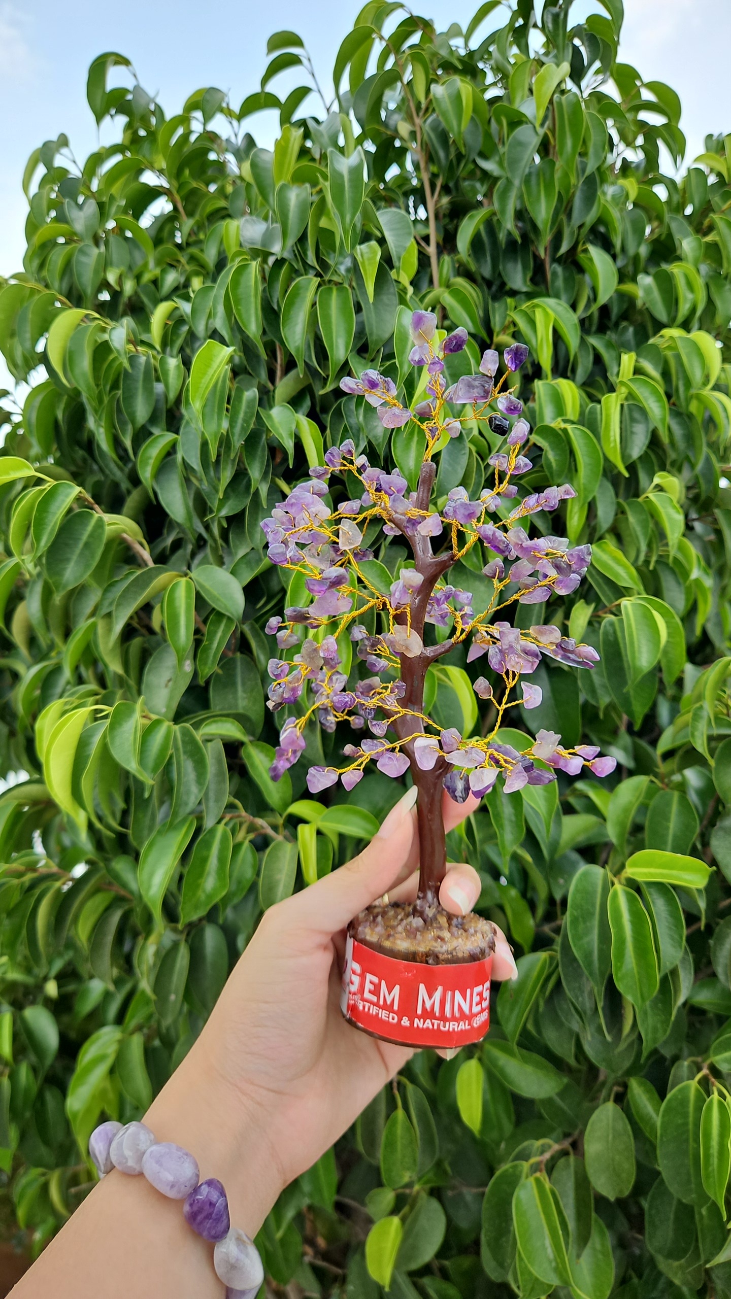 Snapchat 2036753895 Amethyst Tree