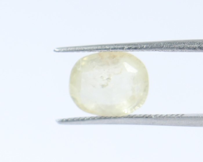NYSP7846 1 Yellow Sapphire 2.64 Ct.
