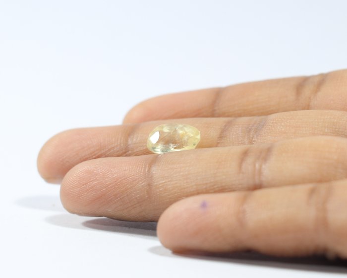 NYSP7858 3 Yellow Sapphire 2.72 Ct.