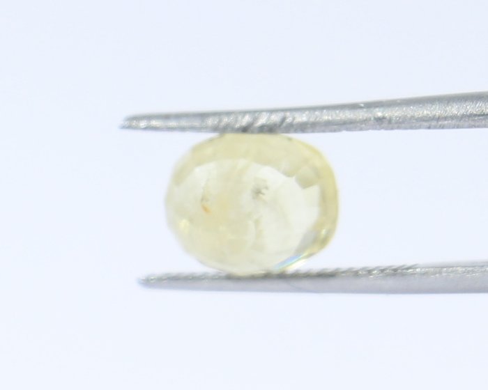 NYSP7862 2 Yellow Sapphire 2.6 Ct.