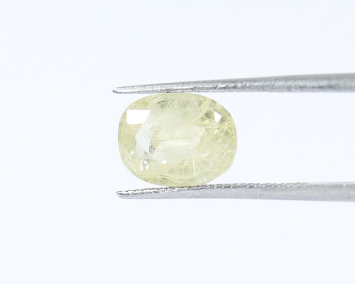 Yellow Sapphire 2.7 Ct.