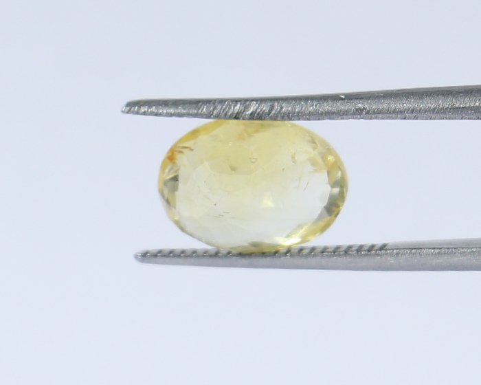 Yellow Sapphire 3.06 Ct.
