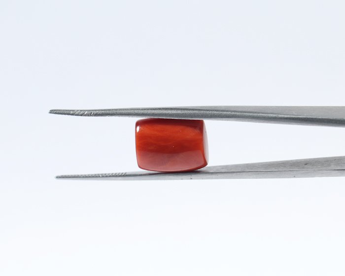 Coral 7.4 Ct.