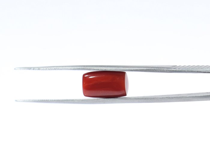 CRL6013 2 Coral 5.74 Ct.