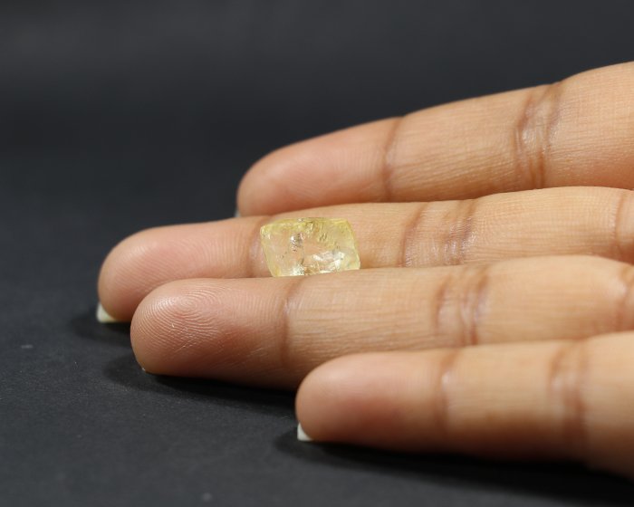 NYSP7983 3 Yellow Sapphire 5.45 Ct.
