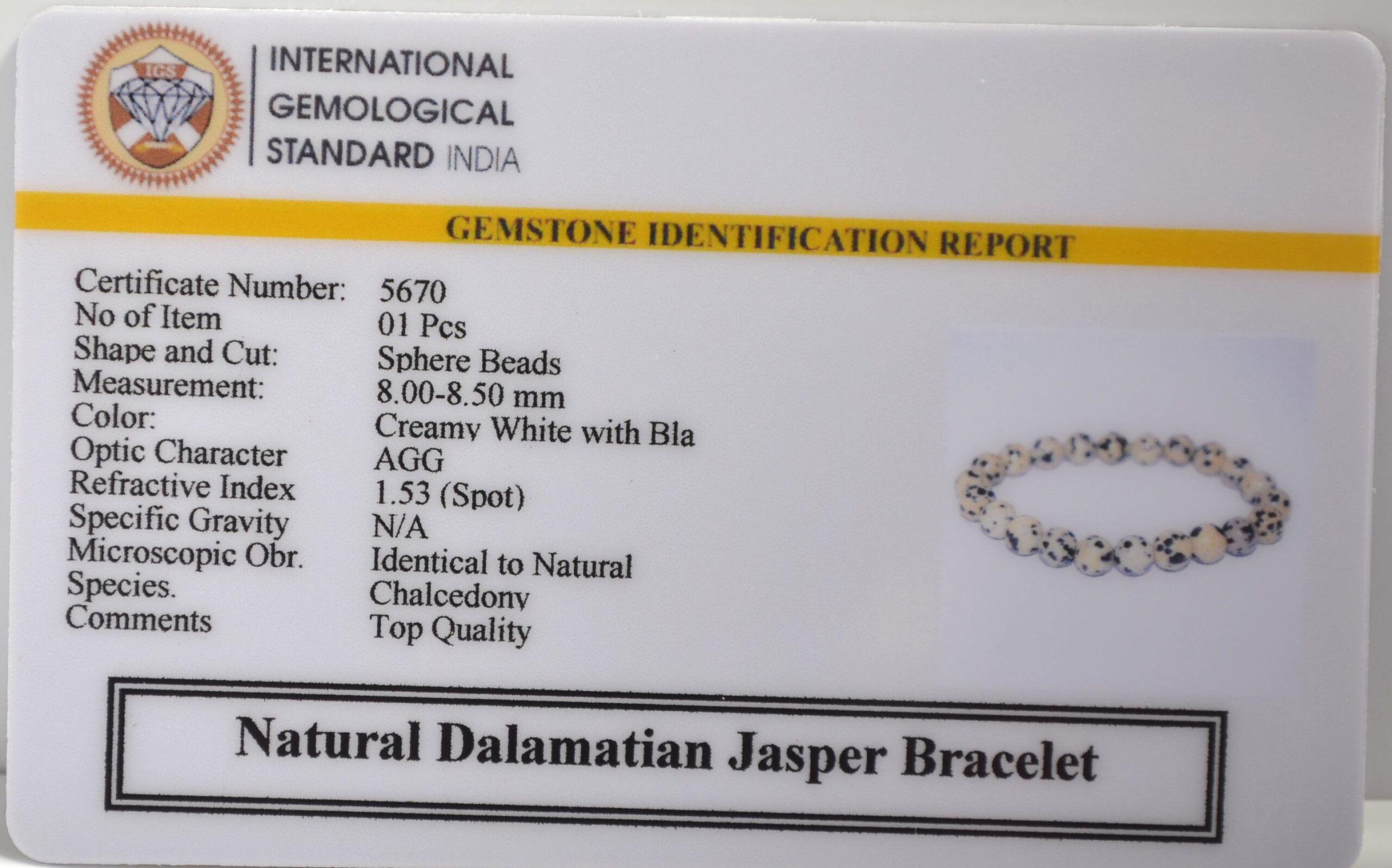 5670 scaled Dalamatian Jasper Bracelet