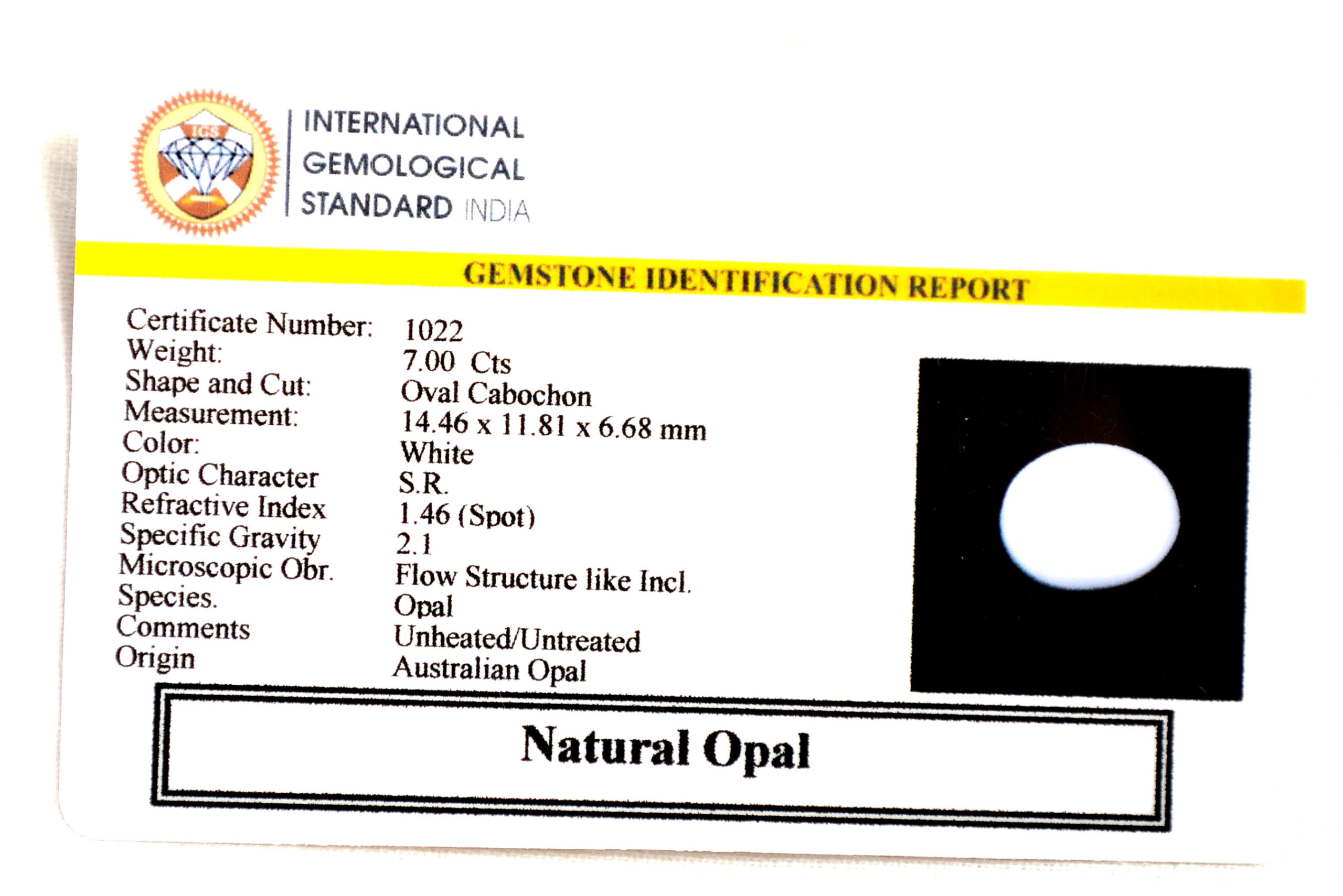 OPAL 7 Ct. 3 OPL8909 2 scaled OPAL 7 Ct.