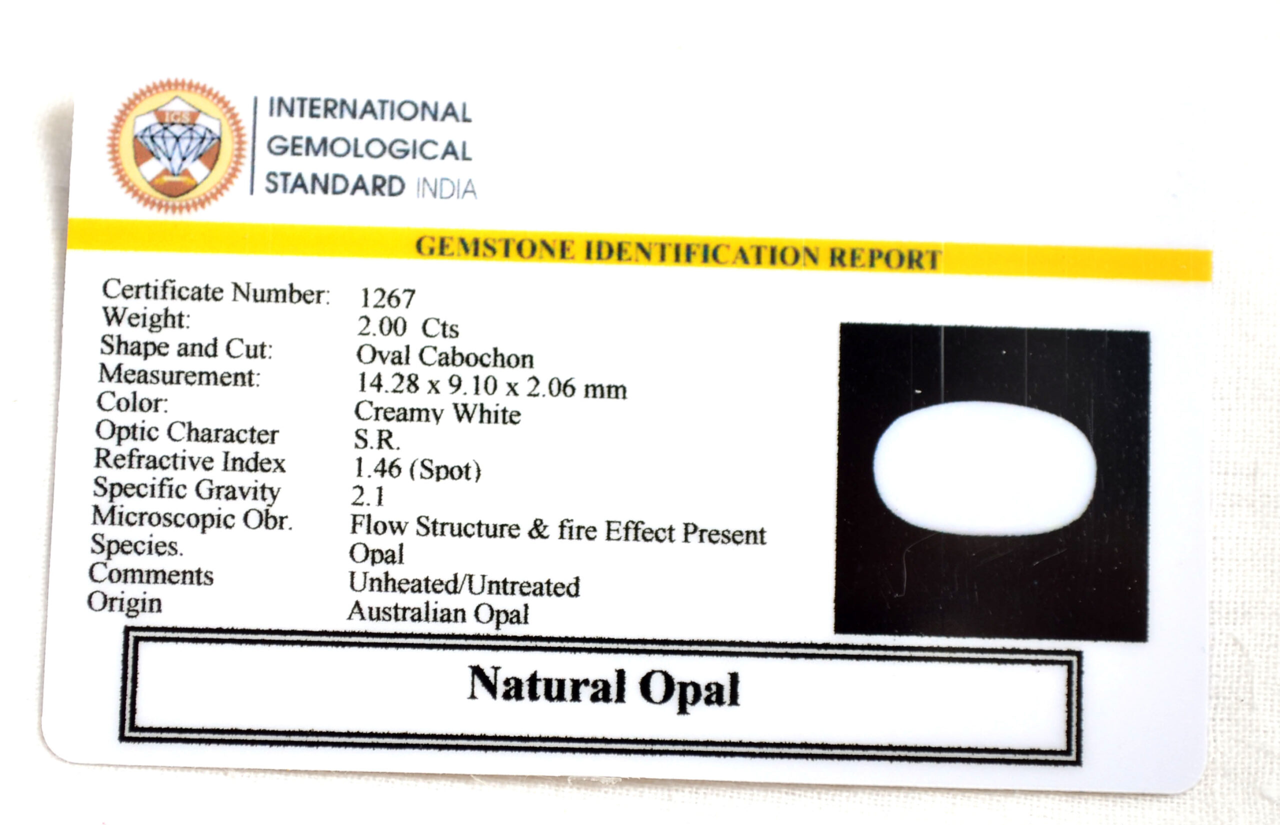 OPAL 2 Ct. 3 OPL9031 2 scaled OPAL 2 Ct.