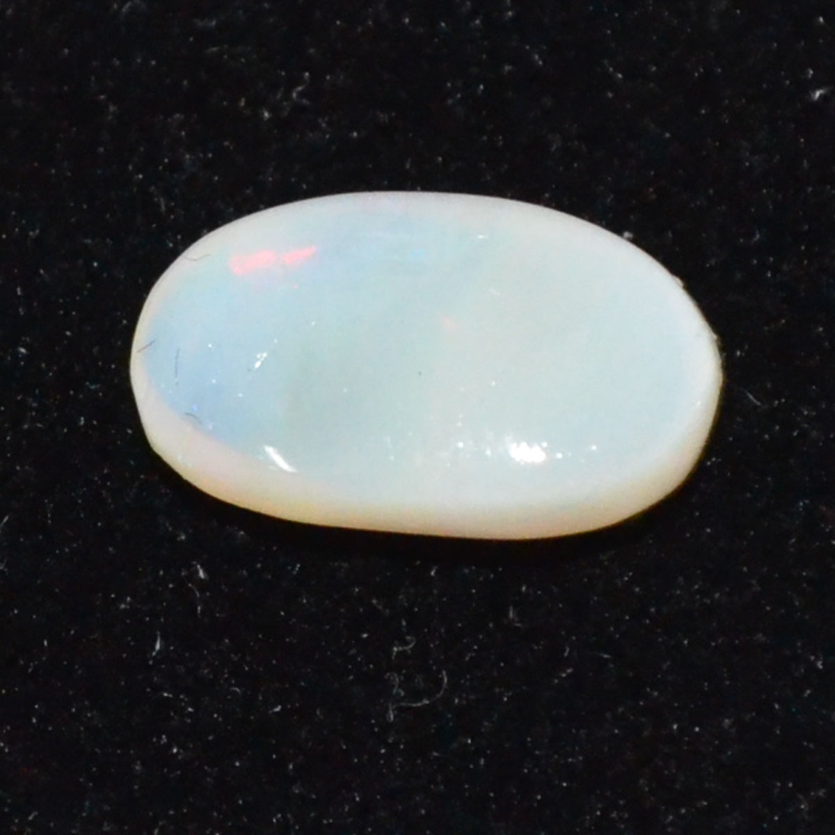 OPAL 3.6 Ct.