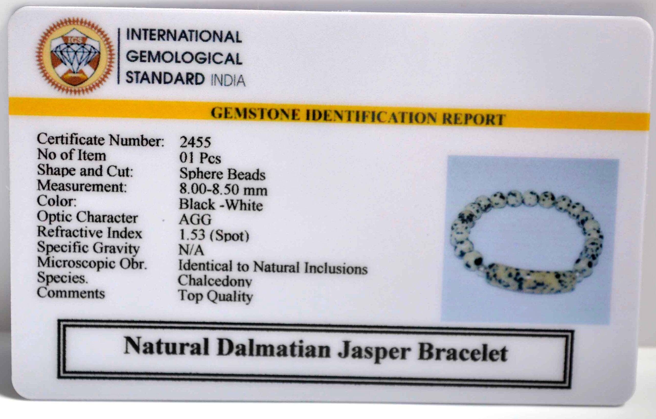 2455 scaled Dalmatian Jasper Energy Curve Bracelet
