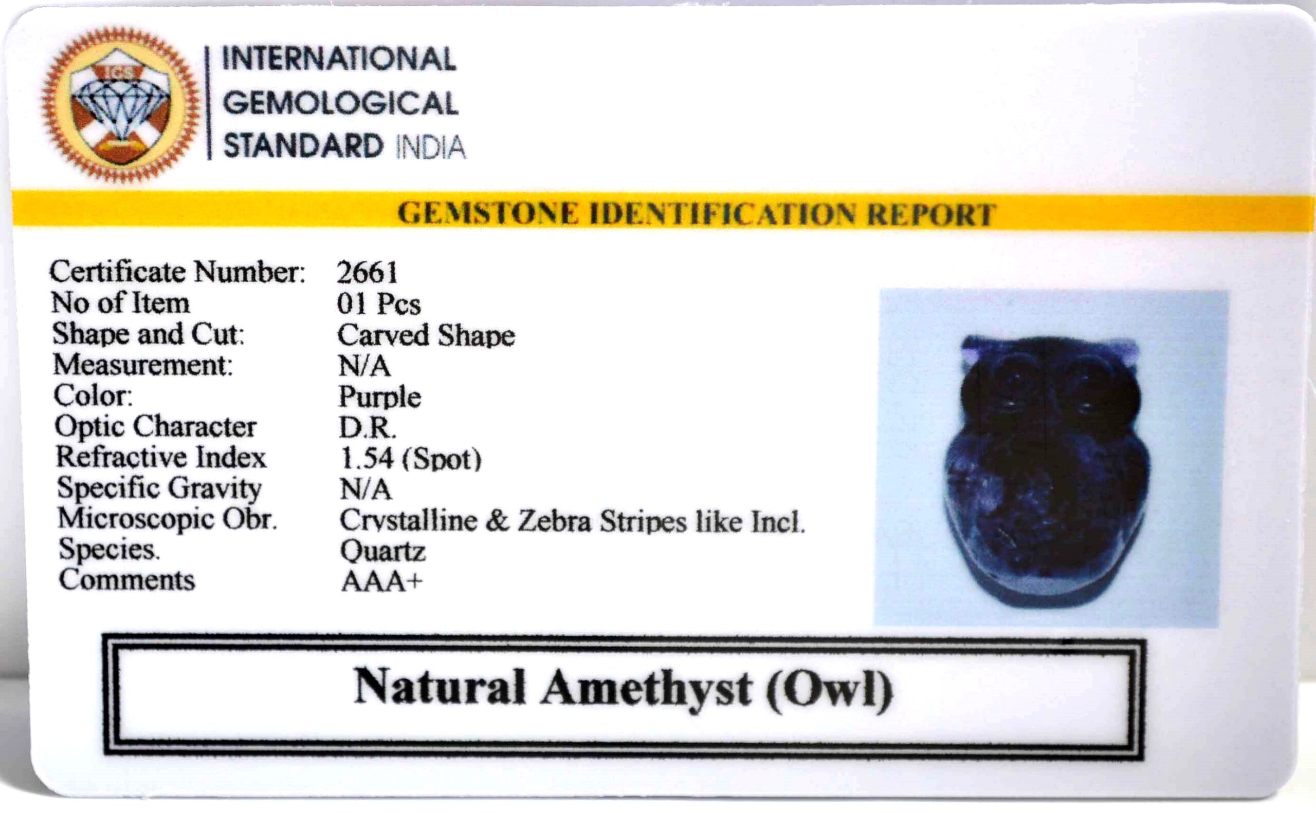 2661 scaled Amethyst Owl
