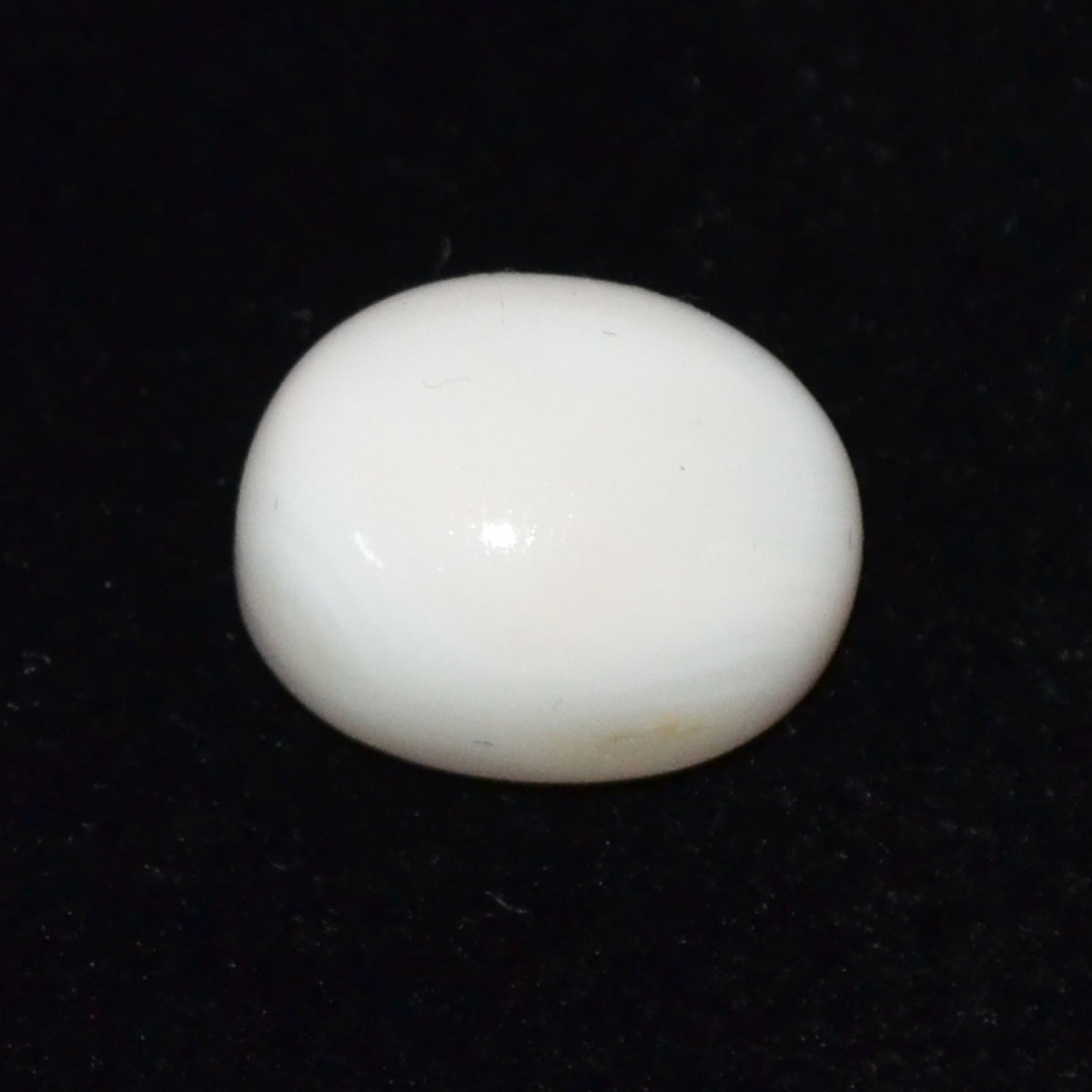 CORAL 8.68 Ct.