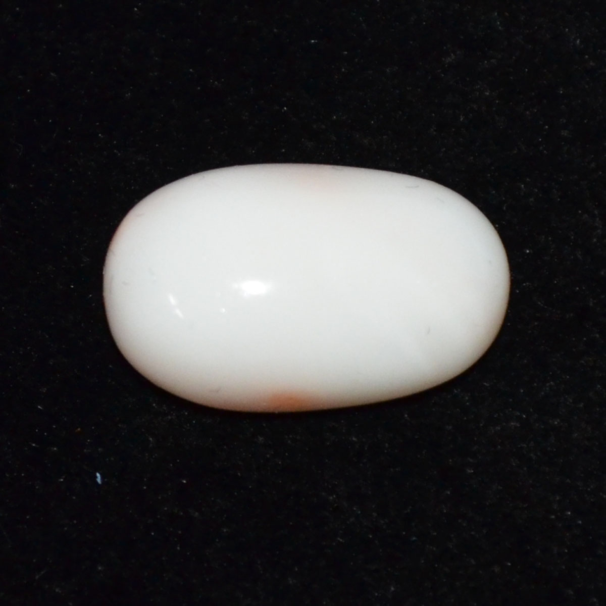 CORAL 10.39 Ct.