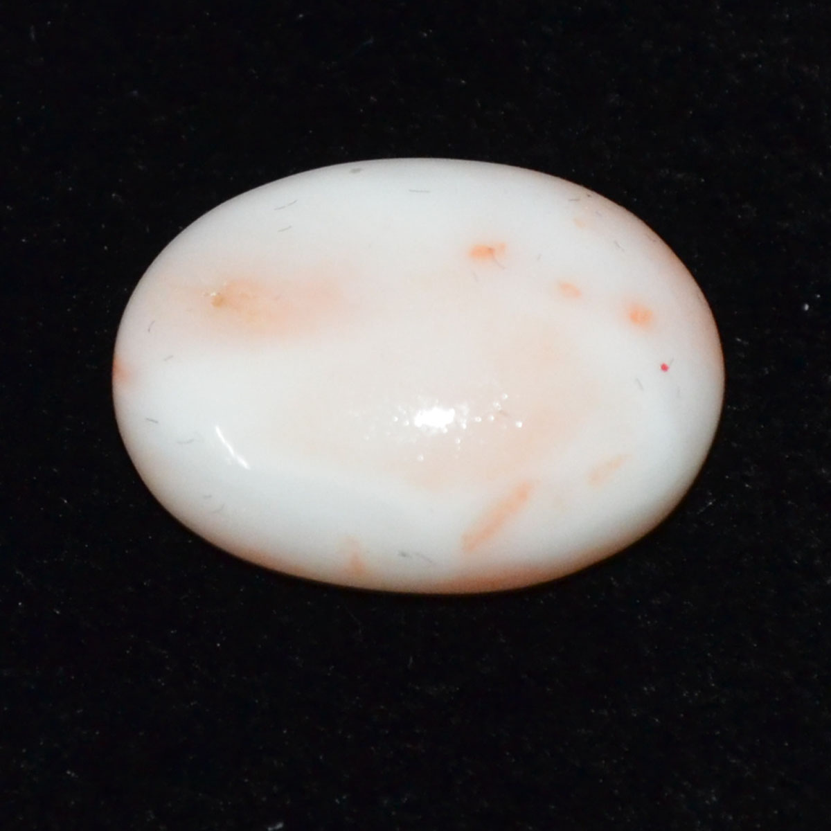 CORAL 13.45 Ct.