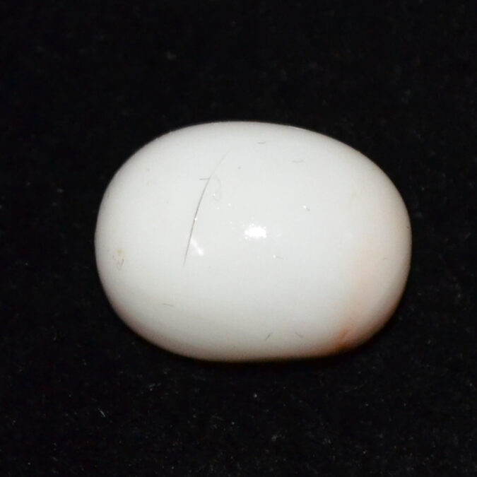 CRL6074 CORAL 15.54 Ct.