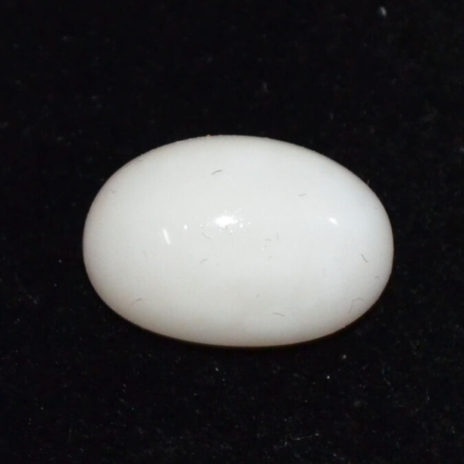 CRL6078 CORAL 8.25 Ct.