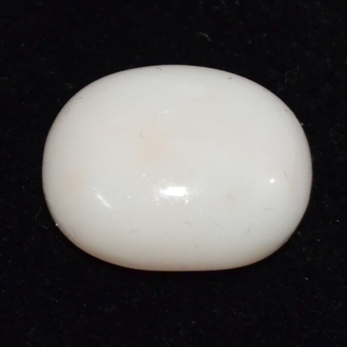 CRL6079 CORAL 12.91 Ct.