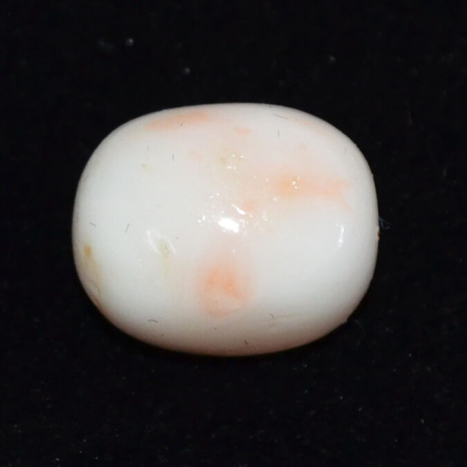 CORAL 12.9 Ct. 1 CRL6080 CORAL 12.9 Ct.