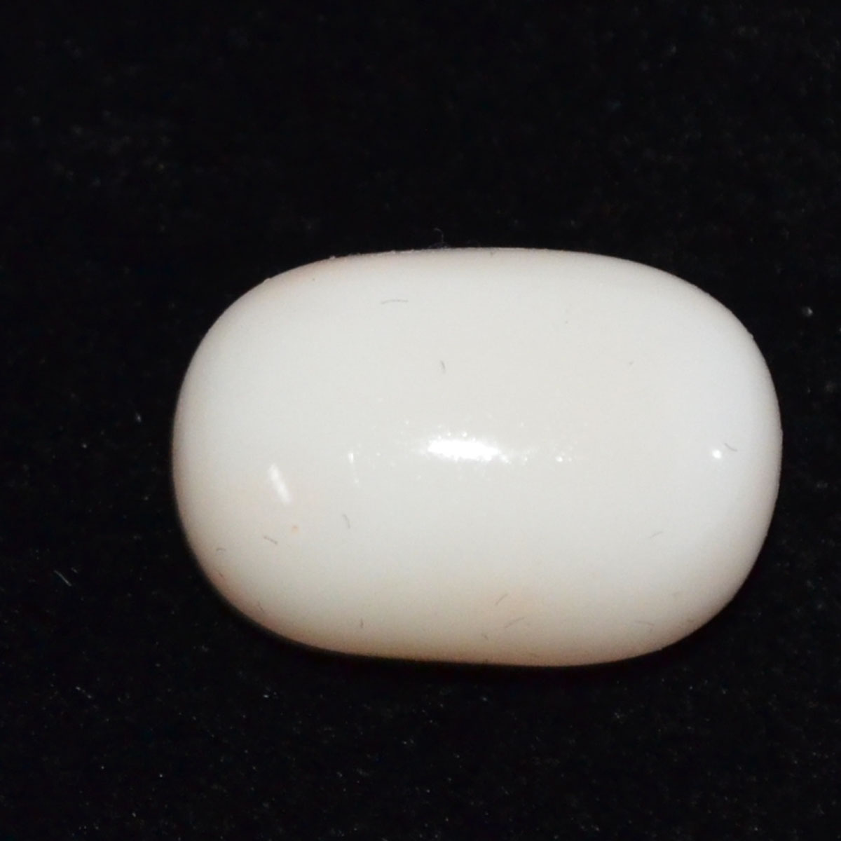 CORAL 16.09 Ct.