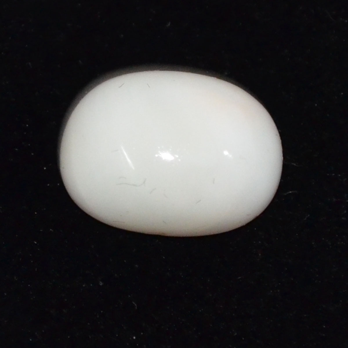 CORAL 8.65 Ct.