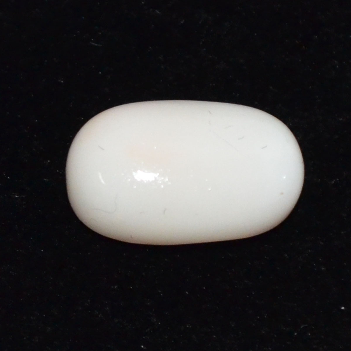CORAL 8.29 Ct.