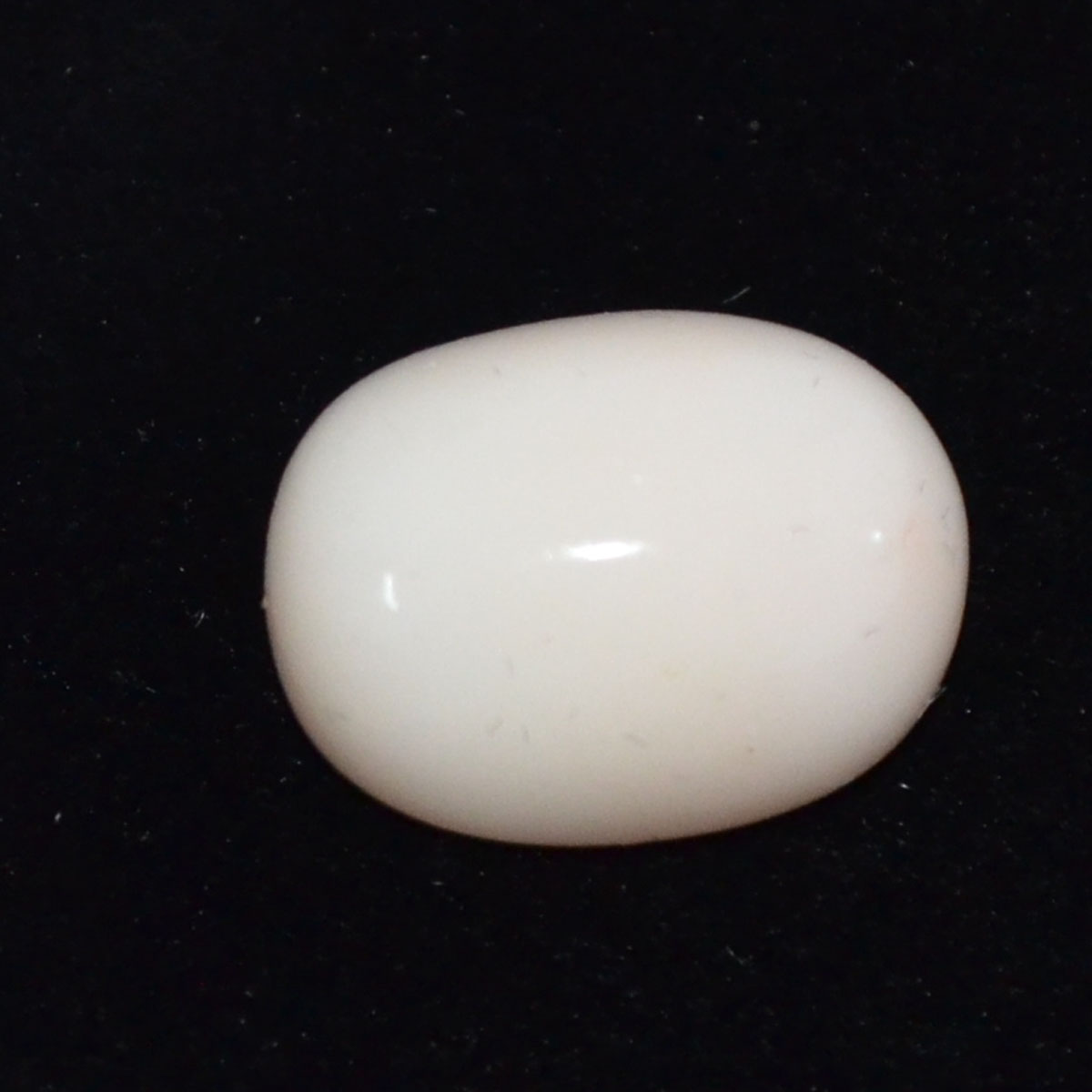 CORAL 14.59 Ct.
